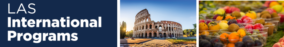 Programs-Study Abroad Administration